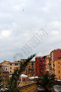 Camogli 意大利图片公司 海 建筑 房屋图片