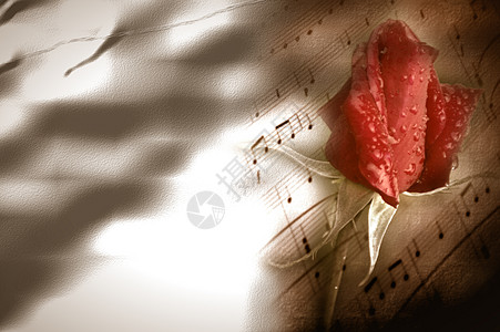 婚礼适用歌曲红玫瑰芽和浪漫卡背景