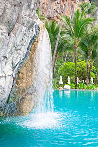 游泳池在海滩上游泳池 棕榈 椰子 瀑布 山 热带图片