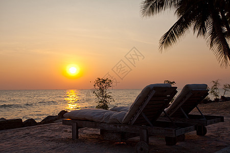 棕榈林环形图 天空 海洋 夏天 支撑 海景图片