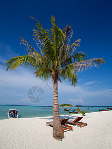 海滩度假村 美丽的 晴天 阳台 水 岛 自然 健康图片