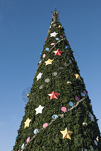 圣诞树 天空 花环 庆典 冬天 冷杉 星星 十二月背景图片