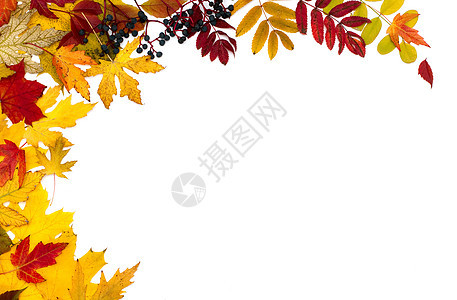 秋天的落叶不一样 灰 笔记 季节 信 卡片 斑驳背景图片
