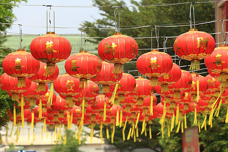 中国灯笼 团体 泰国 装饰品 点燃 街道 新年 佛教 晚上背景图片
