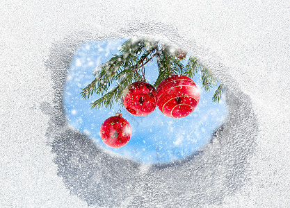 圣诞节装饰 寒冷 冷杉 雪 冰冷的 冬天 寒冷的图片