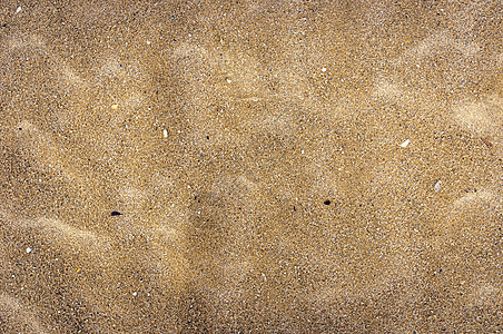 关闭沙质 支撑 自然 海岸线 沙丘 夏天 热带 边界图片
