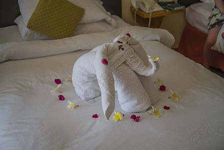 大象 床上的怪味形状 插图 棉被 艺术 毛巾 床垫图片