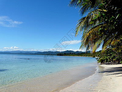 加勒比海滩 棕榈 假期 卡维塔 支付宝 植被 蔚蓝 空气清新图片