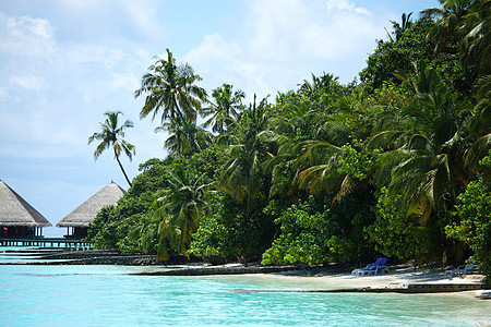热带热带岛屿 椰子 树 泻湖 天堂 棕榈 天空图片