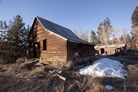 旧谷仓或小屋 清除 建筑 村庄 建筑学 树木 房子图片