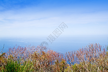 来自的地中海海洋高视距 地标 巴利阿里 里群岛 美丽的图片