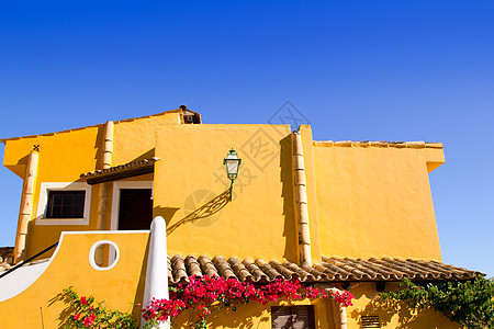 的地中海黄楼 马洛卡 巴利阿里群岛 天堂 建筑 门 西班牙 花的图片