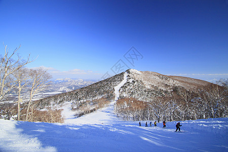 滑雪运行 寒冷的 冰 阳光 日本 岩手县 雪原 天空图片