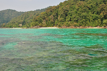 Surin岛国家公园 普吉岛 海岸 海 水图片