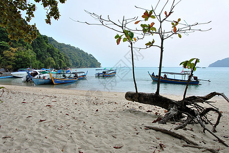 Surin岛国家公园 浪漫的 天空 海洋 钓鱼 天堂图片