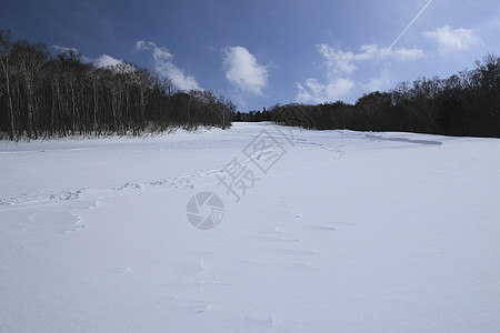 滑雪运行 冰 雪原 假期 季节 寒冷的 雪花 蓝色的图片