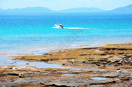 海上快艇 驾驶 天气 蓝色的 快速地 早晨 船 运动图片