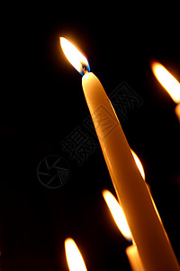 单身白蜡烛图片