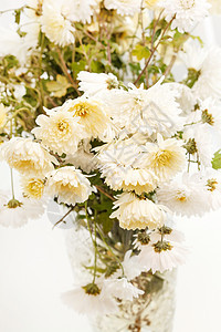 菊花花 花的 假期 花束 植物 新鲜 花园 美丽 婚礼图片