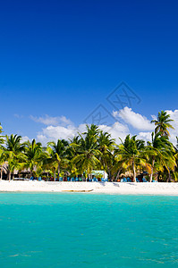 热带热带海滩 风景 美丽的 海岸 棕榈 海景 泻湖 马尔代夫图片