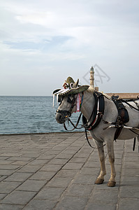 灯塔和马教练在Chania灯塔前 晴天 旅游 水 蓝色的背景