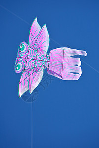 Kite 飞行 自由 乐趣 滑翔机 蓝色的 享受 风筝 细绳图片