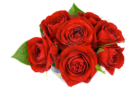 红玫瑰 切花 爱 湿的 花朵 花瓣 绿色的 花束 浪漫背景图片