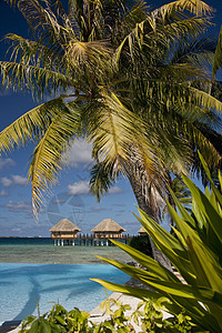 热带岛屿天堂-法属波利尼西亚图片