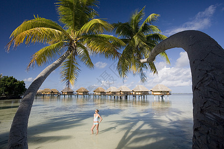 法属波利尼西亚 - 南太平洋 酒店 泻湖 海滩图片