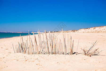 在葡萄牙法罗荒弃海岸的荒废海岸上 用干栅栏围住草 自然 天空图片