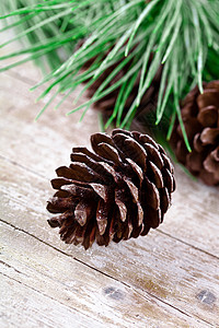 带松松子的圣诞鲜树 老的 假期 木头 木制的 老了背景图片