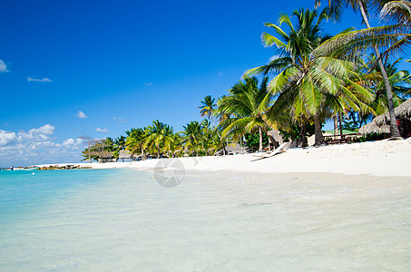 海滩沙滩 水 夏天 椰子 阳光 海岸线 放松 棕榈图片