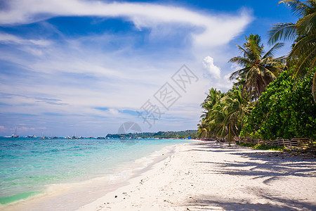 热带完美海滩 有美丽的棕榈和白沙 海景 海洋图片