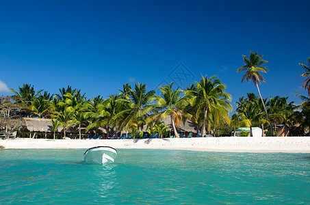 热带热带海滩 斯里兰卡 阳光 放松 天堂 支撑 加勒比图片