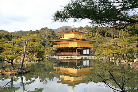 金宫寺 金殿 亚洲 冬天 日本 湖 森林 美丽的图片