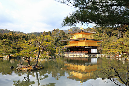 金宫寺 金殿 花园 杰作 京都 神社 湖 松树图片