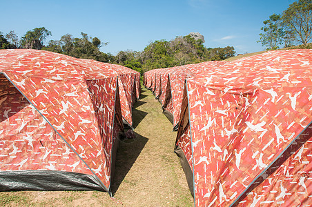 普同源公园帐篷露营 场地 篷布 旅游 植物 营地图片