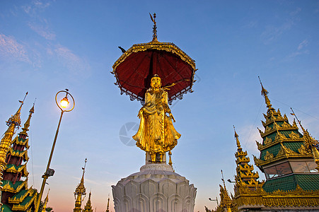 电力塔在Shwedagon塔周围的塔顶上的佛像 仰光 自然 生态旅游背景