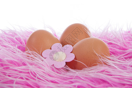 东边装饰鸡蛋的鸡蛋 假期 节 快乐的背景图片