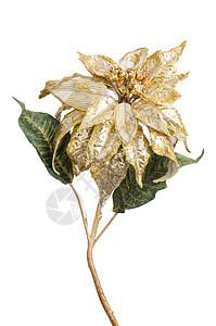 白圣诞节装饰 庆祝 人造的 喜庆 植物 庆典 金的背景图片