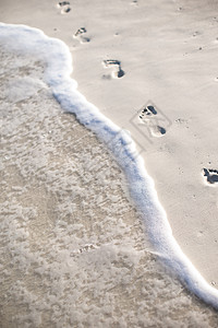 加勒比岛屿白沙上的人类足迹 百人脚印 脚步图片