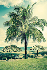 加勒比热带海滩度假胜地图片