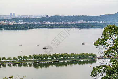 杭州市 西方 中国 小路 旅游 历史性 植物 公园 地标图片