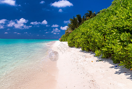 马尔代夫Thoddoo的美好海滩 天空 岛图片