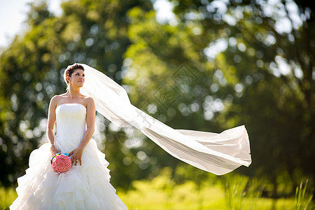 婚礼那天的美美新娘 奢华 优雅 耳环 美丽的 裙子 酒店背景图片
