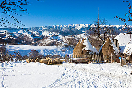 典型的冬季风景 有干草和绵羊 高的 雪 山图片