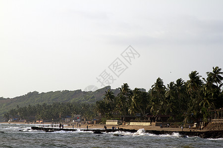 GOA 印度海滩 美丽的棕榈树 叶子 异国情调 亚洲图片
