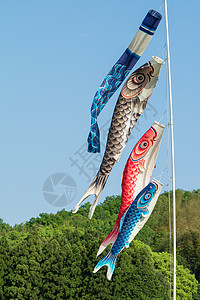 男孩节的鱼旗图片