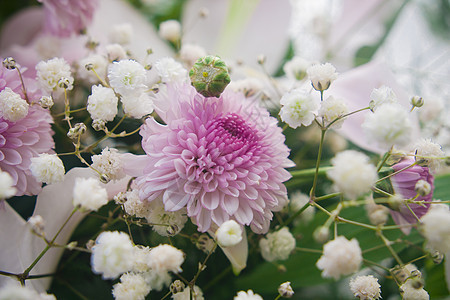 婚礼花束上的紫花图片