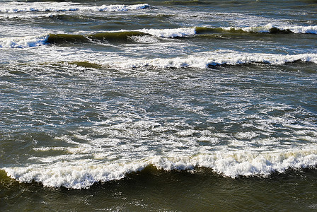 波罗的海 水 海岸 深的 海的 海洋 沿海的背景图片